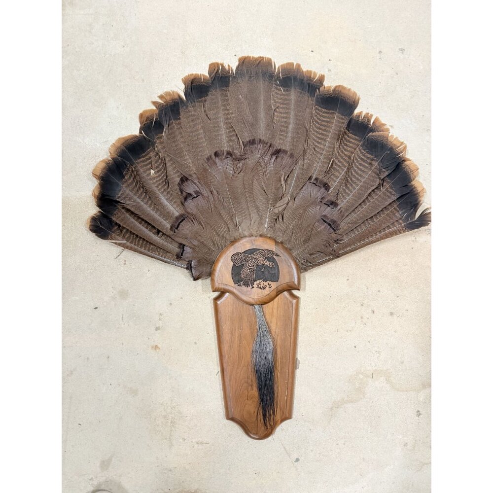 Hunting Mount Wild Turkey Hunt Trophy Tail Beard Mount 29” Wood Plaque Panel Tax - Picture 2 of 12